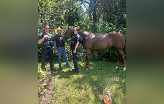 Belmont Hero Local Man Efrain Garcia Teams Up with Police to Safely Corral Runaway Horse on I-85