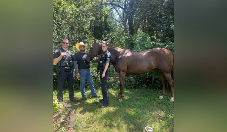 Belmont Hero Local Man Efrain Garcia Teams Up with Police to Safely Corral Runaway Horse on I-85
