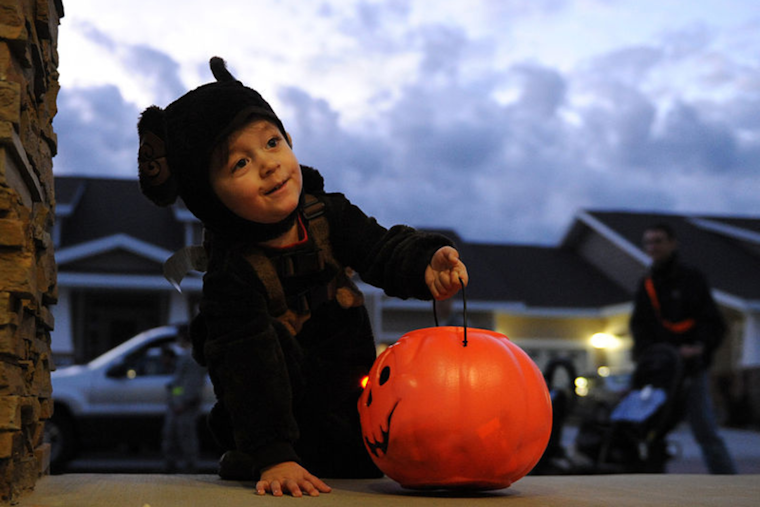 Birch Aquarium's "Halloween Aglow" Returns for a Splendid Blend of Spooky Fun and Science Education in San Diego