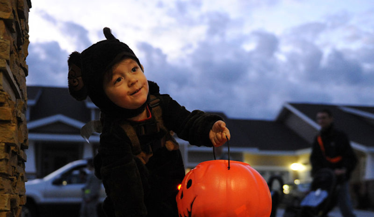 Birch Aquarium's "Halloween Aglow" Returns for a Splendid Blend of Spooky Fun and Science Education in San Diego