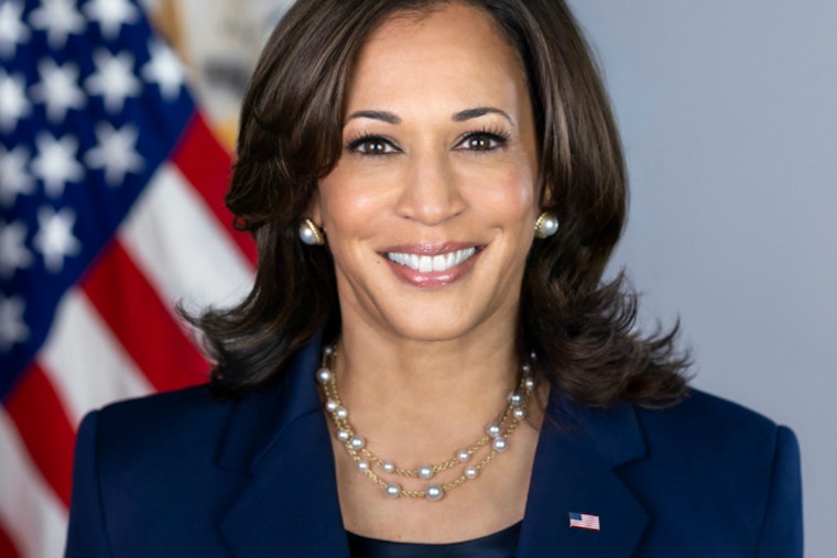 Black Women Galvanize Support for Kamala Harris's Historic Presidential Bid Amid Internal Party Reckoning in Indiana