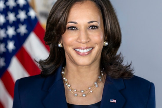 Black Women Galvanize Support for Kamala Harris's Historic Presidential Bid Amid Internal Party Reckoning in Indiana