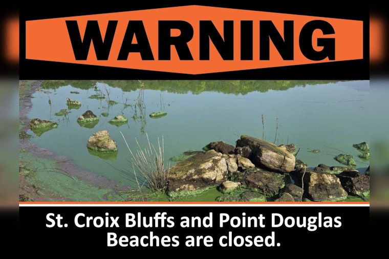 Blue-Green Algae Prompt Closure of St. Croix Bluffs and Point Douglas Beaches in Washington County