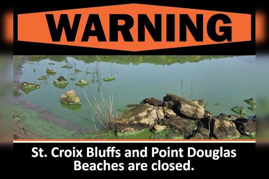 Blue-Green Algae Prompt Closure of St. Croix Bluffs and Point Douglas Beaches in Washington County