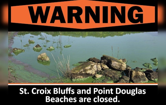 Blue-Green Algae Prompt Closure of St. Croix Bluffs and Point Douglas Beaches in Washington County