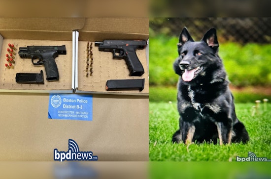 Boston Police K-9 Unit Aids in Arrest of Fall River Man on Firearms and Trespassing Charges in Mattapan