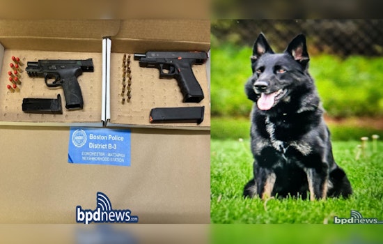 Boston Police K-9 Unit Aids in Arrest of Fall River Man on Firearms and Trespassing Charges in Mattapan