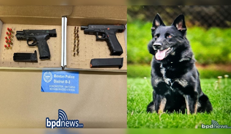 Boston Police K-9 Unit Aids in Arrest of Fall River Man on Firearms and Trespassing Charges in Mattapan