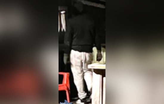 Boston Police Seek Public's Assistance to Identify Suspect in Brighton Prowler Incident