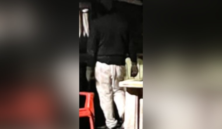 Boston Police Seek Public's Assistance to Identify Suspect in Brighton Prowler Incident