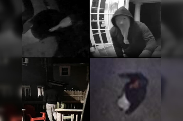 Boston Police Seek Public's Help to Identify Suspected Prowler in Brighton Incidents