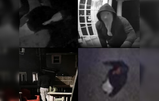 Boston Police Seek Public's Help to Identify Suspected Prowler in Brighton Incidents