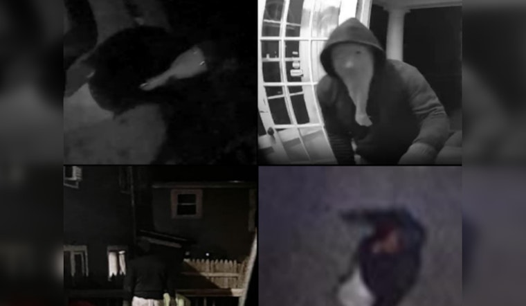 Boston Police Seek Public's Help to Identify Suspected Prowler in Brighton Incidents