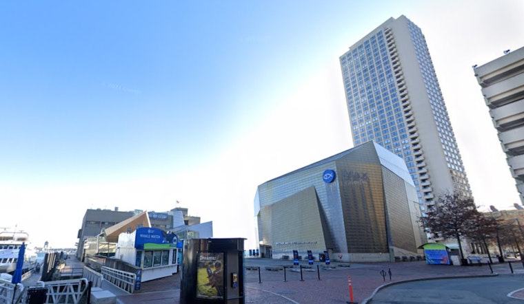 Boston to Revel in Sunny Skies and 80s This Weekend, Chance of Showers Looms for Monday