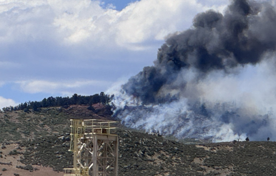 Boulder County Coroner's Office Grapples with Identifying Remains Found After Devastating Stone Canyon Fire Near Lyons