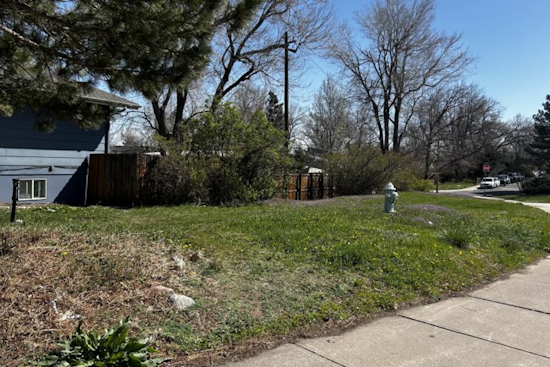 Boulder Innovates with Herbicide-Free Grass Replacement to Enhance Sustainability and Water Conservation