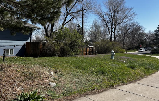 Boulder Innovates with Herbicide-Free Grass Replacement to Enhance Sustainability and Water Conservation