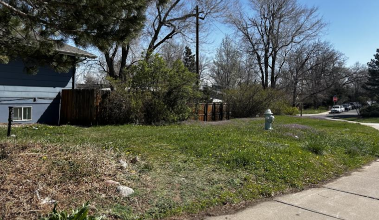 Boulder Innovates with Herbicide-Free Grass Replacement to Enhance Sustainability and Water Conservation