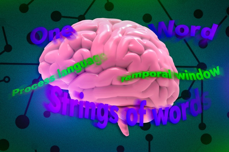 BRAIN BREAKTHROUGH AT MIT: Neurons Crack the Code of Language on Dizzying Timelines!