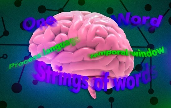 BRAIN BREAKTHROUGH AT MIT: Neurons Crack the Code of Language on Dizzying Timelines!