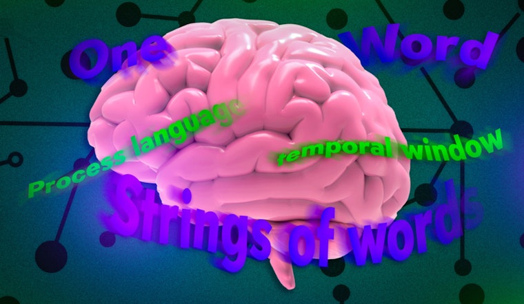 BRAIN BREAKTHROUGH AT MIT: Neurons Crack the Code of Language on Dizzying Timelines!