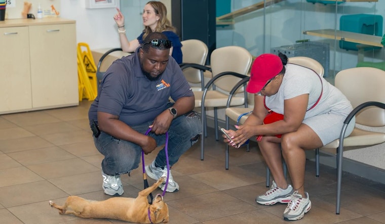 Broward County Celebrates Over 100% Increase in Pet Adoptions