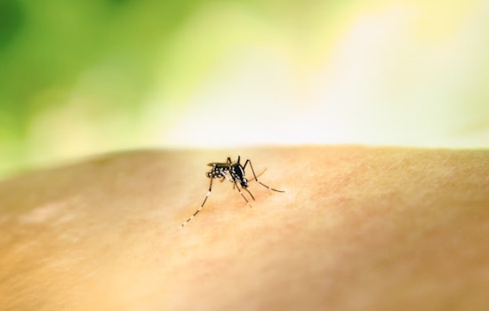 Broward County Deploys Eco-Friendly Larvicide in New Mosquito Control Operations Across Municipalities