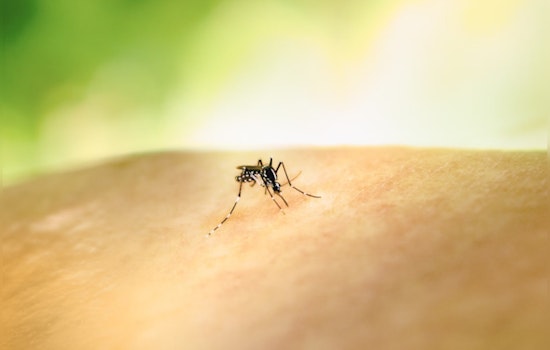 Bucks County to Conduct Targeted Mosquito Control in Response to West Nile Virus Threat