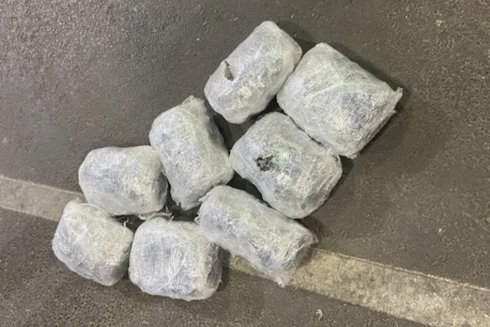 Calexico Port of Entry Officials Thwart Illegal Sea Cucumber Smuggling Attempt