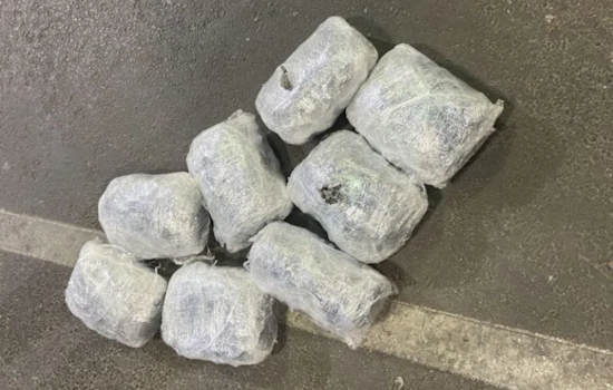 Calexico Port of Entry Officials Thwart Illegal Sea Cucumber Smuggling Attempt