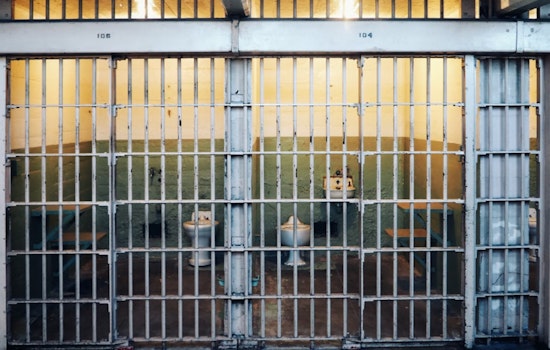 Carjacker Receives 15-Year Federal Prison Sentence After Chicago Suburb Crime Spree and Standoff with Police