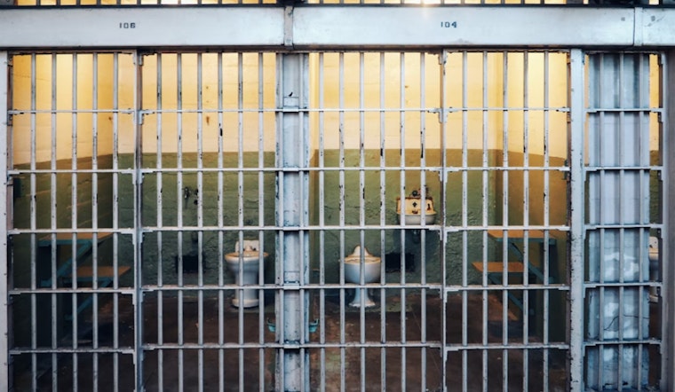 Carjacker Receives 15-Year Federal Prison Sentence After Chicago Suburb Crime Spree and Standoff with Police