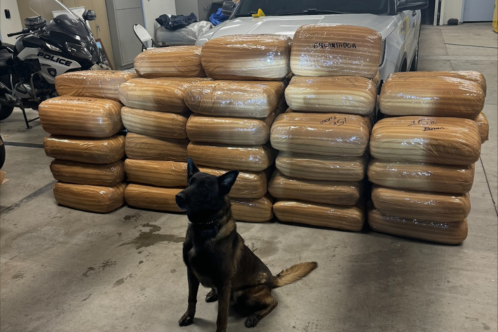 Carlsbad Police K-9 Unit Discovers Over a Ton of Meth on San Diego County Highway, Suspect Arrested