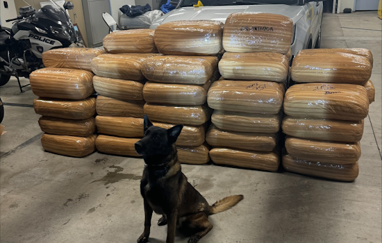 Carlsbad Police K-9 Unit Discovers Over a Ton of Meth on San Diego County Highway, Suspect Arrested
