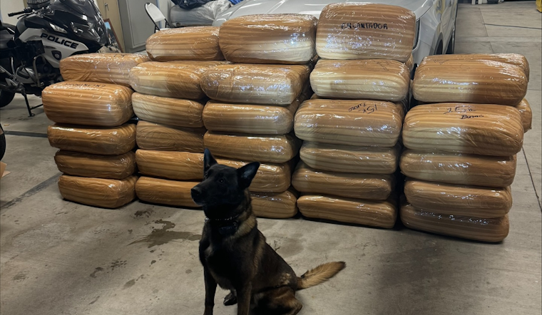 Carlsbad Police K-9 Unit Discovers Over a Ton of Meth on San Diego County Highway, Suspect Arrested