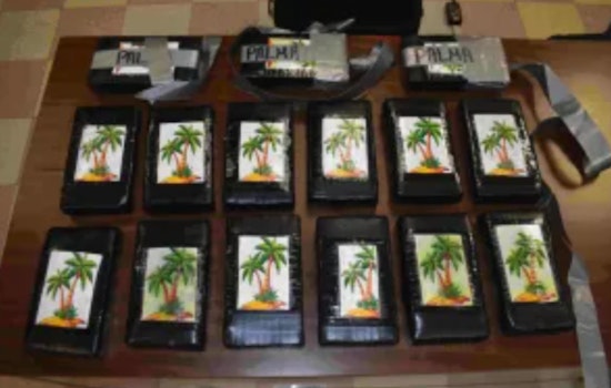 CBP Officers Intercept $460K Cocaine Shipment at Brownsville Port of Entry, Suspected Smuggler Arrested