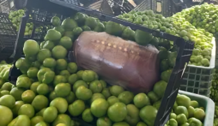 CBP Seizes $453.6K Worth of Meth in Tomatillos Shipment at Otay Mesa, Operation Apollo Strikes Again