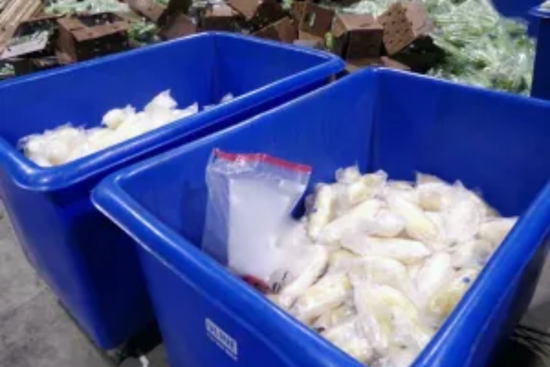 CBP Seizes Over 600 Pounds of Meth Hidden in Celery Shipment at Otay Mesa Port of Entry