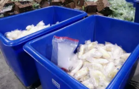 CBP Seizes Over 600 Pounds of Meth Hidden in Celery Shipment at Otay Mesa Port of Entry