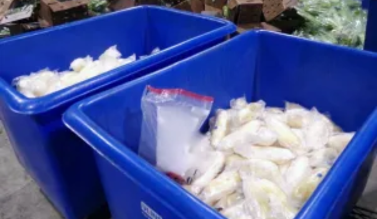 CBP Seizes Over 600 Pounds of Meth Hidden in Celery Shipment at Otay Mesa Port of Entry