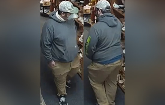 Chamblee Police Seek Suspect in Bold Daylight Theft of $30K in Antiques from Local Store