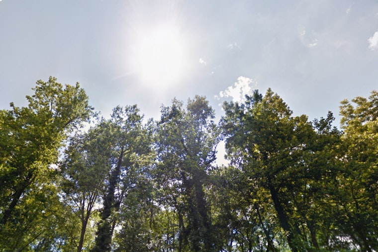 Charlotte Basks in Sunshine and Mild Temperatures, Ideal for Outdoor Fun This Week