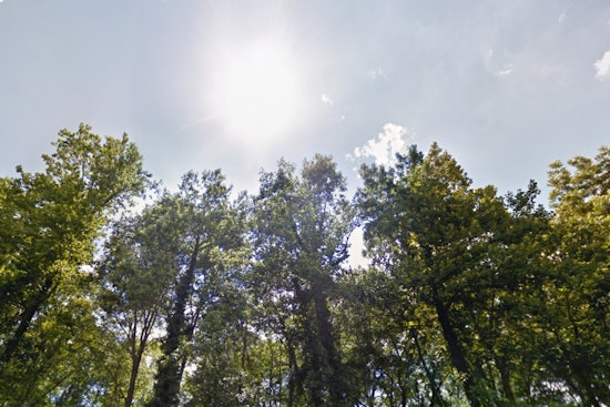 Charlotte Basks in Sunshine and Mild Temperatures, Ideal for Outdoor Fun This Week