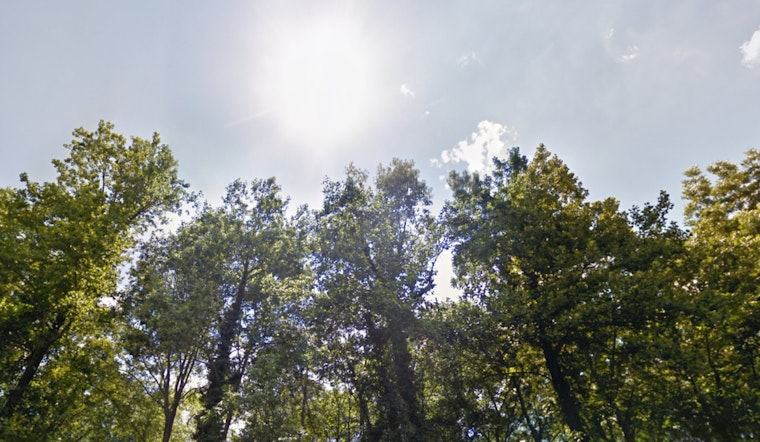 Charlotte Basks in Sunshine and Mild Temperatures, Ideal for Outdoor Fun This Week