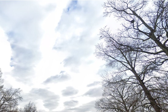 Charlotte Braces for Weekend Storms: Heat, Humidity to Usher in Showers and Thunderstorms
