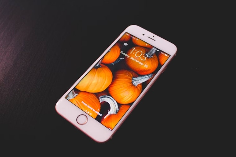 Charlotte Business Owner Sentenced to Over 5 Years for Role in International Stolen iPhone Ring