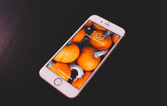 Charlotte Business Owner Sentenced to Over 5 Years for Role in International Stolen iPhone Ring