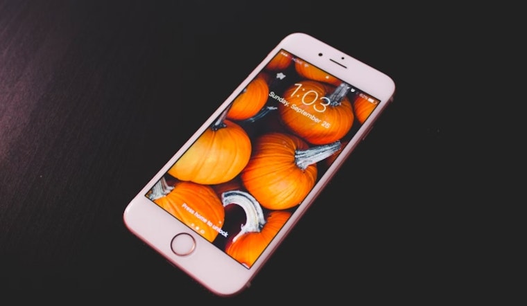 Charlotte Business Owner Sentenced to Over 5 Years for Role in International Stolen iPhone Ring