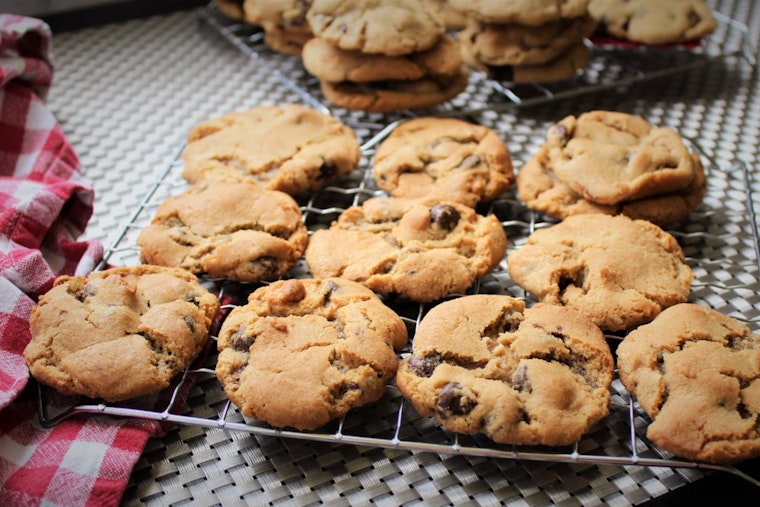 Charlotte Girl Scout Crushes State Cookie Sales Record, Raises Funds for Children with Dyslexia