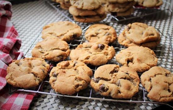 Charlotte Girl Scout Crushes State Cookie Sales Record, Raises Funds for Children with Dyslexia